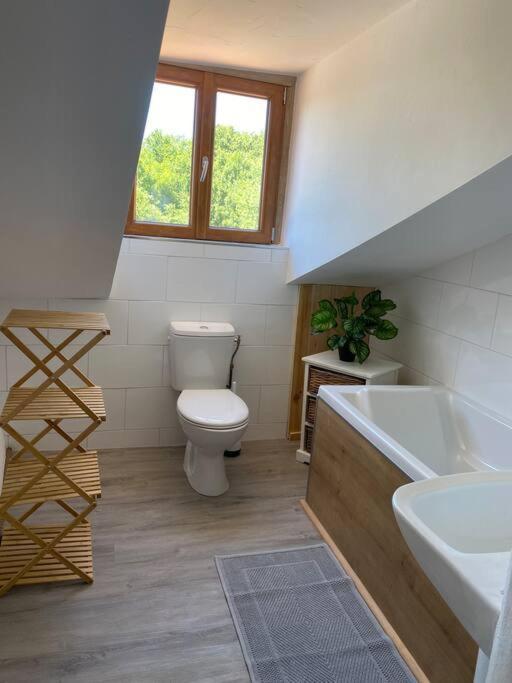 Spacious 1 Bed Home With Shared Pool Champagnac-la-Rivière Eksteriør billede